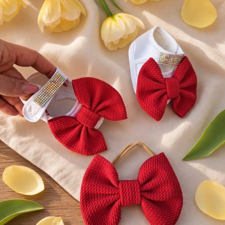 Set pantofi + bentita